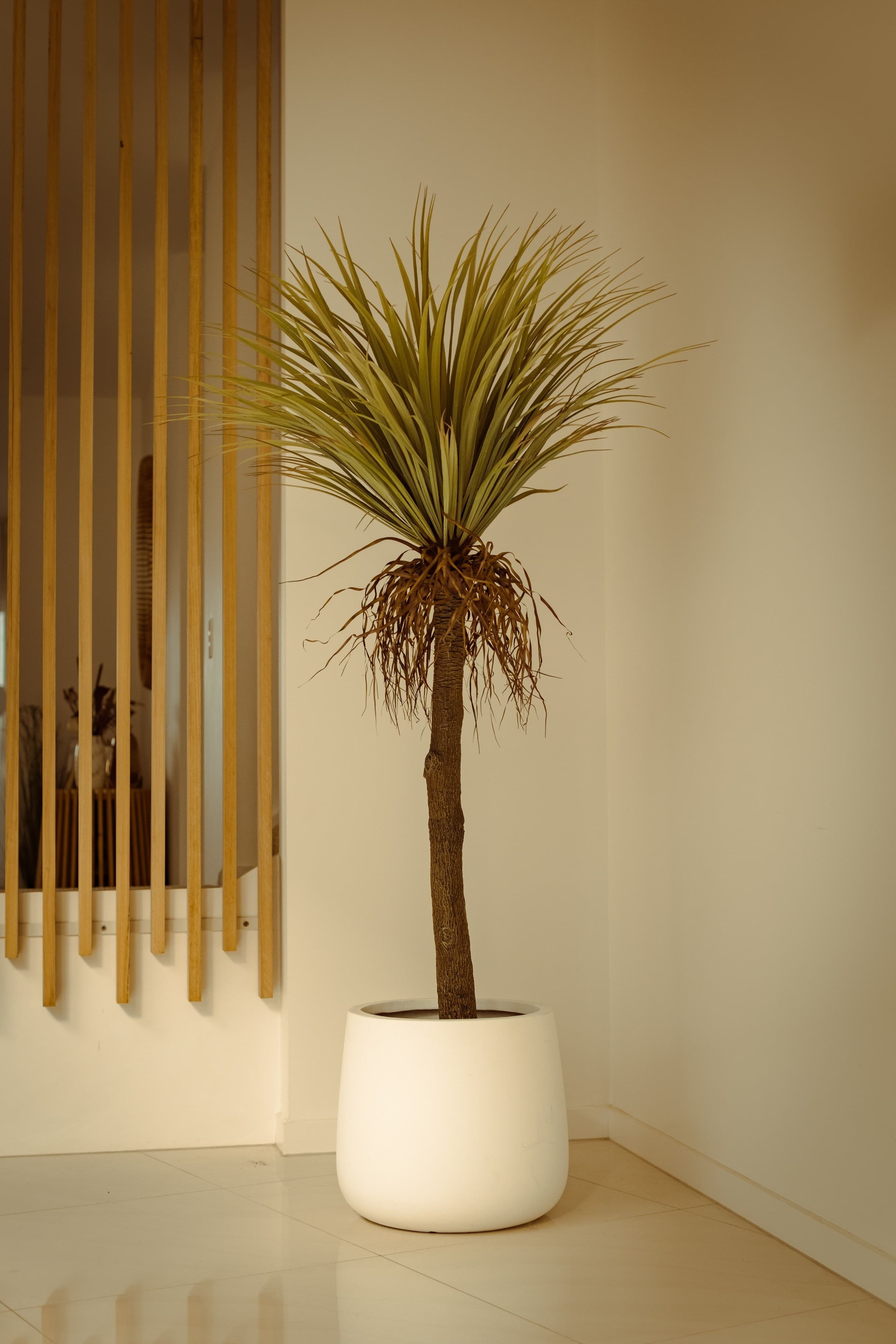 Minimalist Dragon Tree (Dracaena / Cordyline Style)